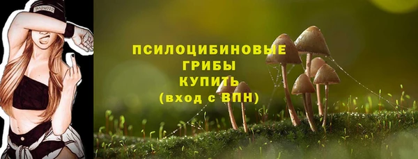 не бодяженный Алексин