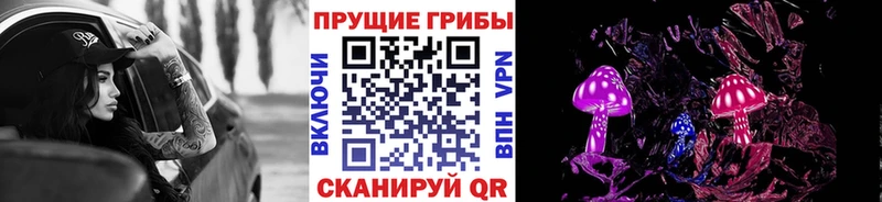 Галлюциногенные грибы GOLDEN TEACHER  ОМГ ОМГ сайт  Отрадное  как найти наркотики 