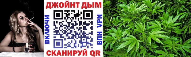 цена   Отрадное  Конопля сатива 